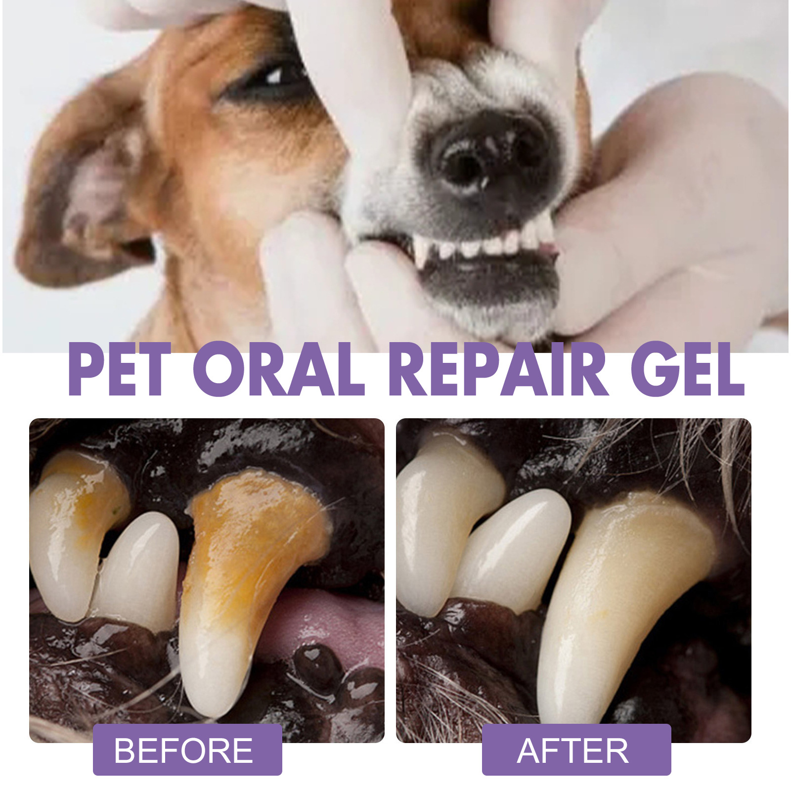 الحيوانات الأليفة الفم إصلاح ه - مراجعة Teeth Whitening Near Me وسعره